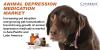 Photo for Animal Depression Medication Market - Global Industry Insights, Trends, Outlook, and Opportunity Analysis, 2016 – 2024