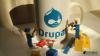 Photo for Hire Drupal Developers