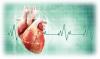 Photo for Cardiologist in Omr