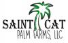 Photo for Saint Cat Palm Farms, LLC