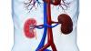 Photo for Nephrology and Urology Devices Market — Global Industry Insights, Trends, and Opportunity Analysis, 2016–2024