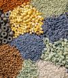 Photo for Global Catalyst Regeneration Market Professional Survey Report 2017