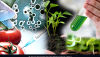 Photo for Next-generation Sequencing Market – Global Industry Insights, Trends, Outlook, and Opportunity Analysis, 2016–2024