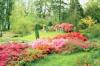 Photo for Organic Lawn Care Guys