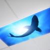 Photo for Global Compact Shark Fluorescent Light Market Research Report