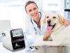 Photo for Pet Health Products Market – Global Industry Insights, Trends, Outlook, and Opportunity Analysis, 2016–2024