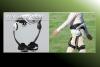 Photo for Walking Assist Device Market – Global Industry Insights, Trends, Size,and Opportunity Analysis, 2017–2025
