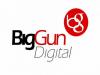 Photo for Big Gun Digital