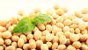 Photo for Global Soy Protein Ingredients Market 2016 Industry Analysis & Forecast 2024