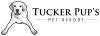 Photo for Tucker Pup's Pet Resort