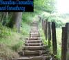 Photo for Looking For Anxiety Depression Counselling In Kuluin