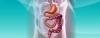 Photo for Short Bowel Syndrome Market - Global Industry Insights, Trends and Opportunity Analysis, 2016 - 2024
