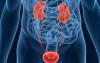 Photo for Global Urinary Tract Cancer Market 2015 Industry Analysis & Forecast 2021