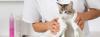 Photo for Bryony Hill Cattery