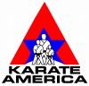 Photo for Karate America