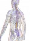 Photo for Neuropathic Pain-Global API Manufacturers, Marketed and Phase III Drugs Landscape, 2017