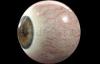 Photo for Ocular Pain-Global API Manufacturers, Marketed and Phase III Drugs Landscape, 2017