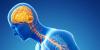Photo for Parkinson’s Disease-Global API Manufacturers, Marketed and Phase III Drugs Landscape, 2017