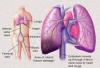 Photo for Thromboembolism-Global API Manufacturers, Marketed and Phase III Drugs Landscape, 2017