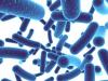 Photo for Global Probiotics Market 2015 Industry Analysis & Forecast 2021