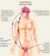 Photo for Male Hypogonadism-Global API Manufacturers, Marketed and Phase III Drugs Landscape, 2017