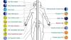 Photo for Human Microbiome Market -  Trends