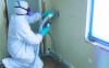 Photo for Mold Remediation Guys