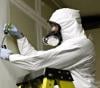 Photo for Mold Inspection Guys