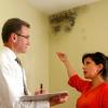 Photo for Mold Treatment Guys