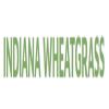 Photo for Indiana Wheatgrass