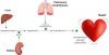 Photo for Primary Hyperaldosteronism-Global API Manufacturers, Marketed and Phase III Drugs Landscape, 2017