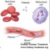 Photo for Renal Anemia-Global API Manufacturers, Marketed and Phase III Drugs Landscape, 2017
