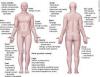 Photo for Pruritus-Global API Manufacturers, Marketed and Phase III Drugs Landscape, 2017
