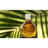 Photo for Global Pure biodiesel Industry Situation and Prospects Research report 2017