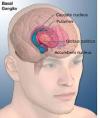Photo for Tourette Syndrome-Global API Manufacturers, Marketed and Phase III Drugs Landscape, 2017