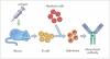 Photo for Global Antibody Production Market 2016 Industry Analysis & Forecast 2024
