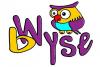 Photo for bWyse Internet Marketing & Social Media Consulting