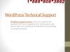 Photo for Contact (1-888-809-3892) to Wordpress Technical Support Team