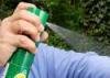 Photo for Global Mosquito Repellant Market: Dynamics and Opportunities Report by Research Trades