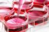 Photo for Global Cell Culture Market 2016 Industry Analysis & Forecast 2024