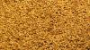 Photo for Malt Ingredients Market 2016 Industry Analysis & Forecast 2024, globally