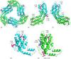 Photo for Global Phycobiliprotein Market Research Report 2017