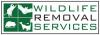 Photo for Wildlife Removal Services