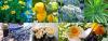 Photo for Herpes Treatment At Home