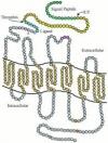 Photo for Protease Activated Receptor 1 (PAR-1 or Coagulation Factor II or Thrombin Receptor ) Antagonists -Pipeline Insights, 2017