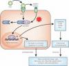 Photo for Receptor For Advanced Glycation End Product (RAGE) Inhibitors -Pipeline Insights, 2017