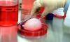 Photo for Global Regenerative Medicines Market 2016 Industry Analysis & Forecast 2024