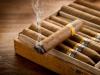 Photo for Global Cigars & Cigarillos Market size demand will increase by 2016–2024