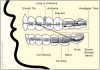 Photo for Simply Straight Orthodontics