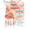 Photo for Irritable Bowel Syndrome – Market Insights, Epidemiology and Market Forecast-2023